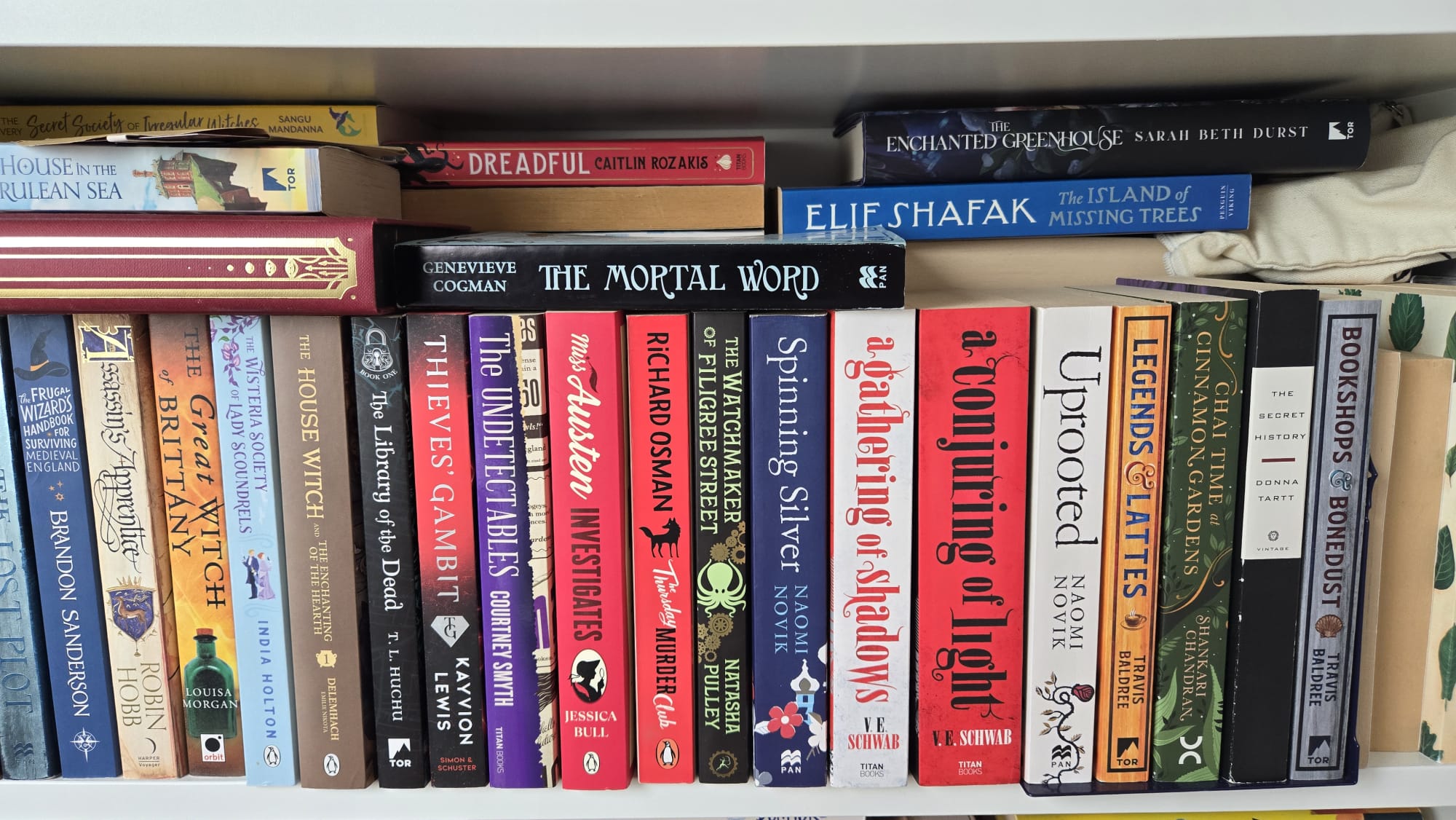 Photograph of my second bookshelf.